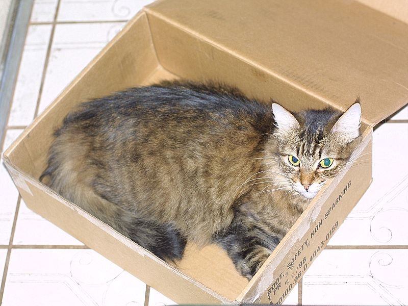 Eight_2001-10-14@1836-53