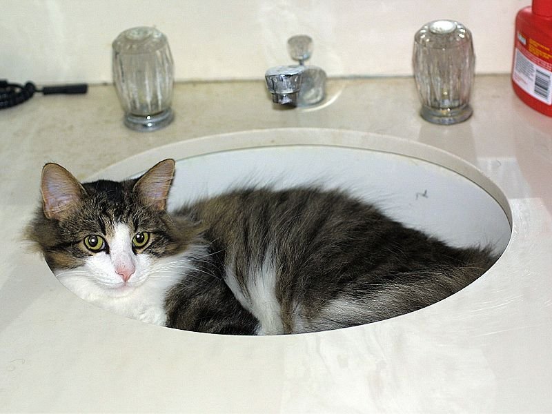 Oscar_2001-09-03@1544-55