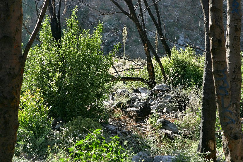 Ranger_Station_2004-06-14@1712-08